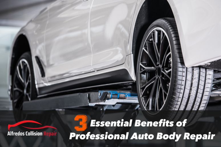 Professional Auto Body Repair
